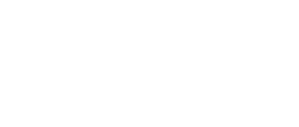 LIDU Agency