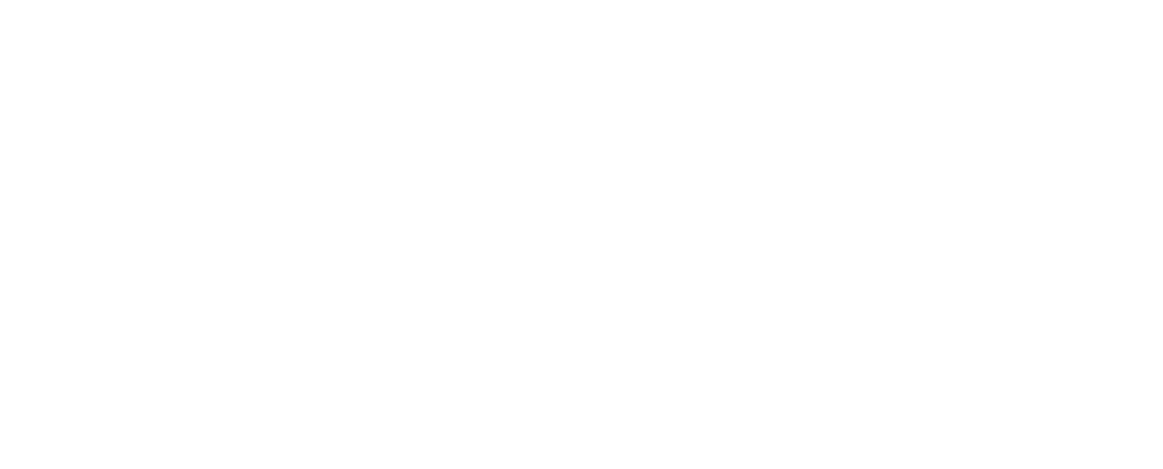 LIDUAGENCY.COM